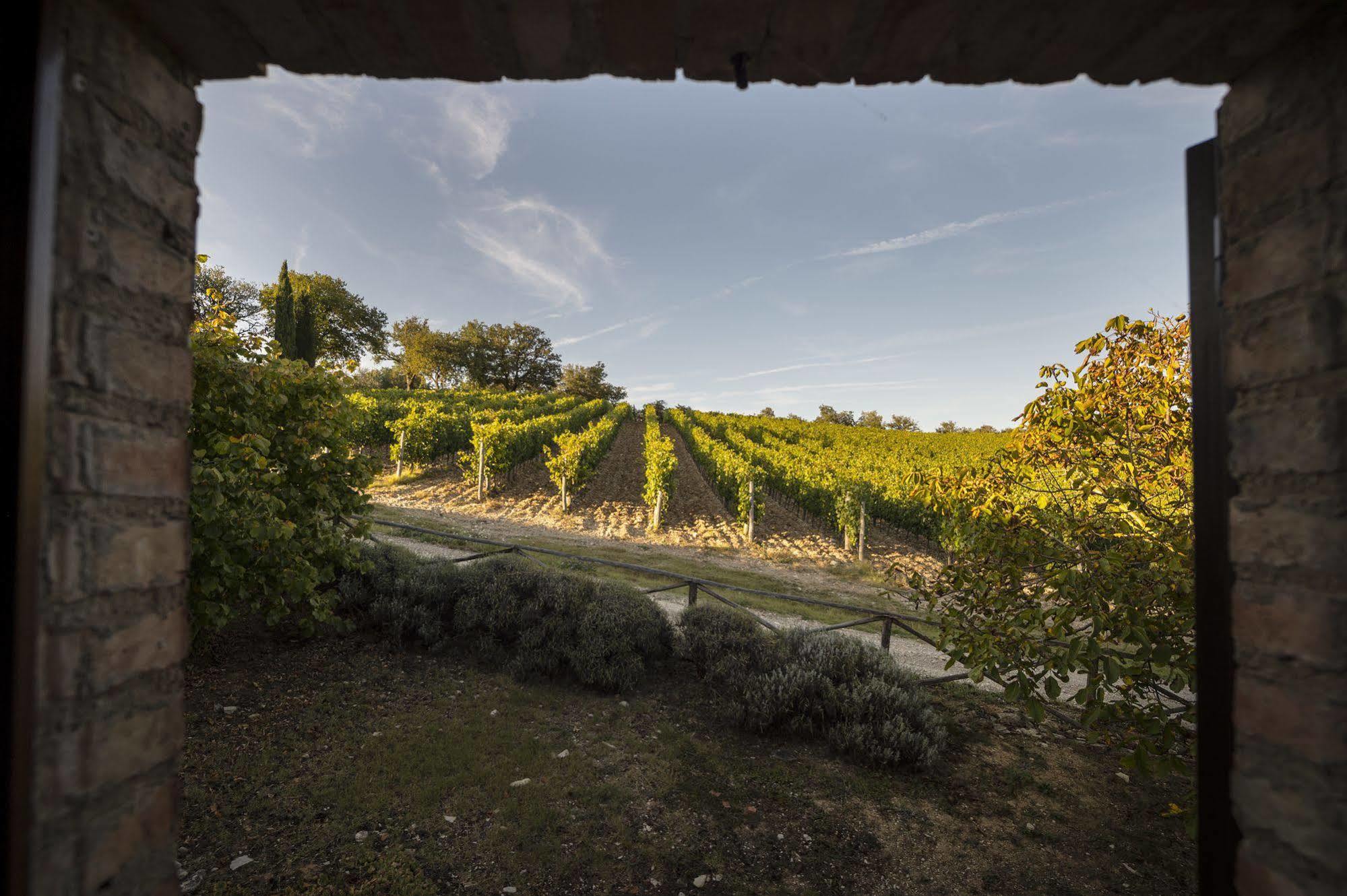 Collelungo Castellina in Chianti